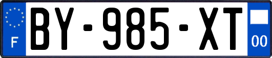 BY-985-XT