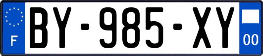 BY-985-XY