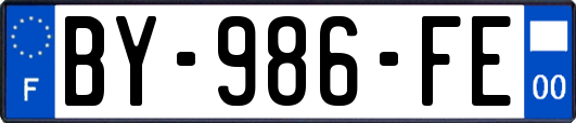 BY-986-FE