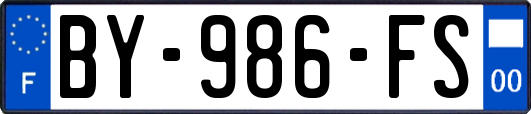 BY-986-FS