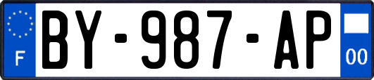 BY-987-AP