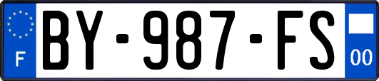 BY-987-FS