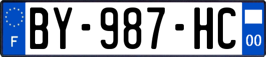 BY-987-HC