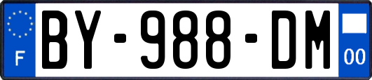 BY-988-DM