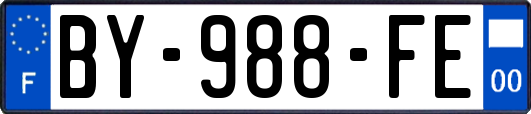 BY-988-FE