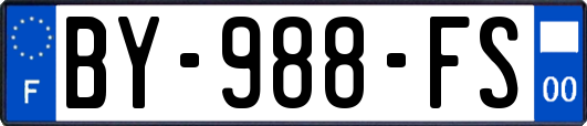 BY-988-FS