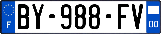BY-988-FV
