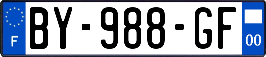 BY-988-GF