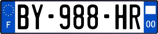 BY-988-HR