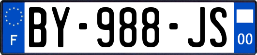 BY-988-JS
