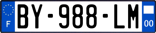 BY-988-LM