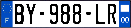 BY-988-LR