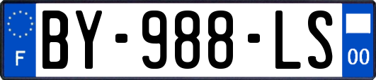 BY-988-LS