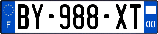 BY-988-XT