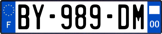 BY-989-DM