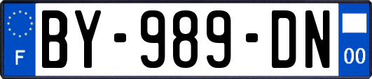 BY-989-DN