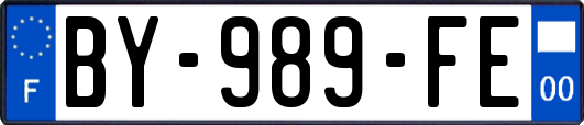 BY-989-FE