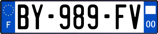 BY-989-FV