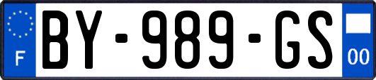 BY-989-GS