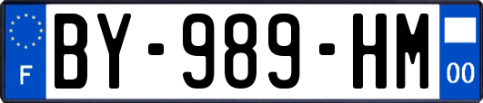 BY-989-HM