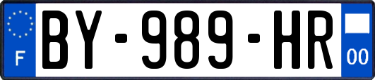 BY-989-HR