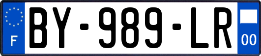 BY-989-LR
