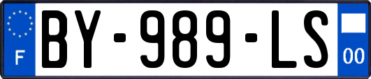 BY-989-LS