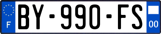BY-990-FS
