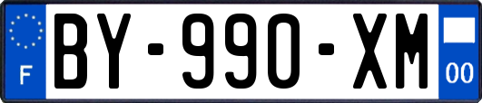 BY-990-XM