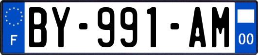 BY-991-AM