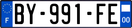 BY-991-FE