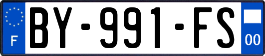 BY-991-FS