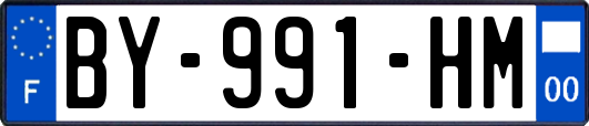 BY-991-HM