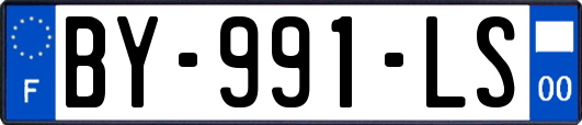 BY-991-LS