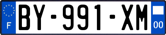 BY-991-XM