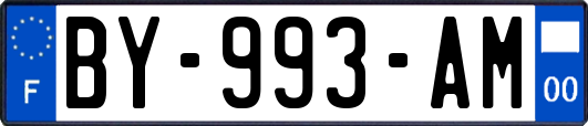 BY-993-AM