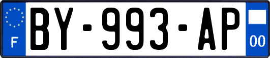 BY-993-AP