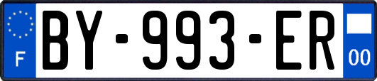 BY-993-ER