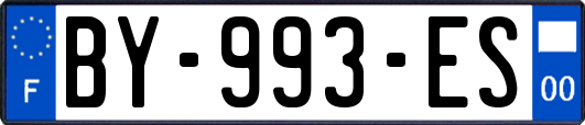 BY-993-ES