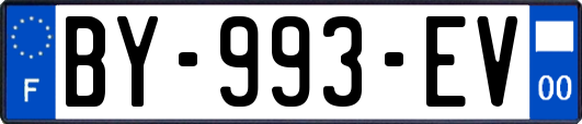 BY-993-EV