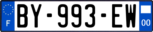 BY-993-EW