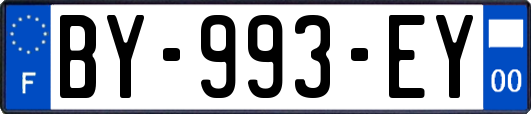BY-993-EY
