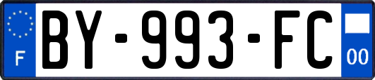 BY-993-FC