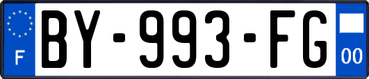 BY-993-FG