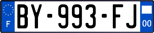 BY-993-FJ