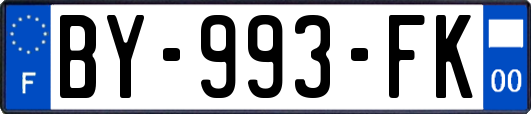 BY-993-FK