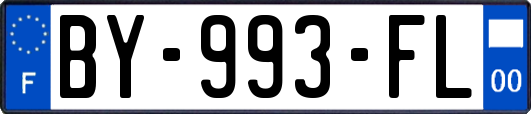 BY-993-FL