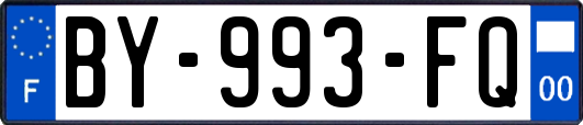 BY-993-FQ