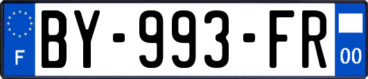 BY-993-FR
