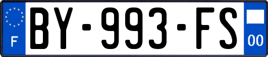 BY-993-FS